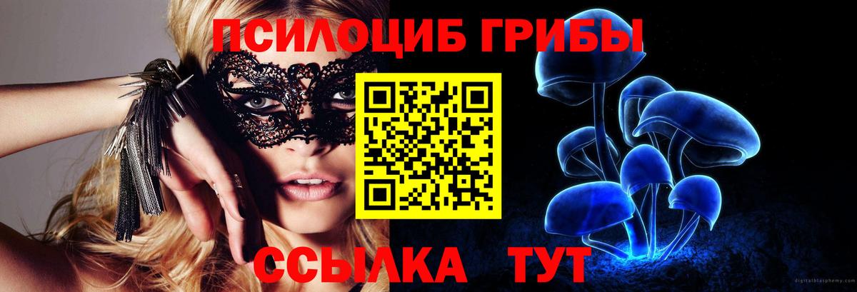 Галлюциногенные грибы GOLDEN TEACHER Пугачёв