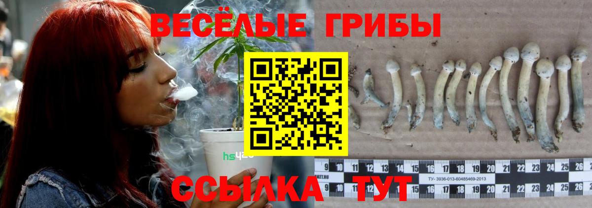 Галлюциногенные грибы ЛСД  Вход с VPN  Пугачёв 